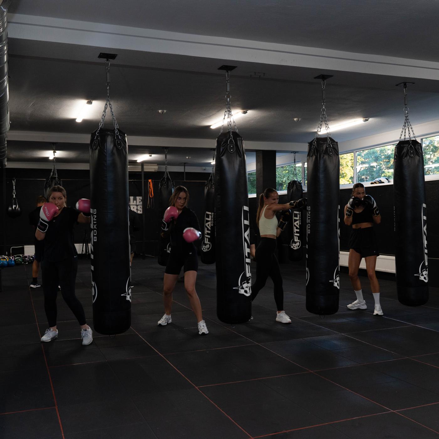 FitAli Boxing