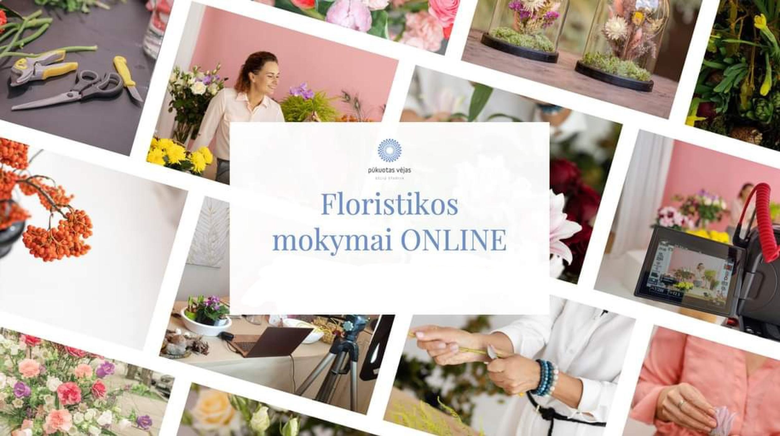 Pūkuotas Vėjas gėlių studija 