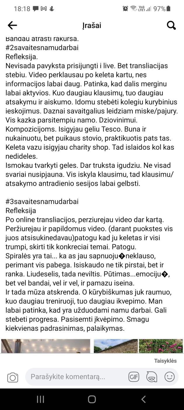 Pūkuotas Vėjas gėlių studija 