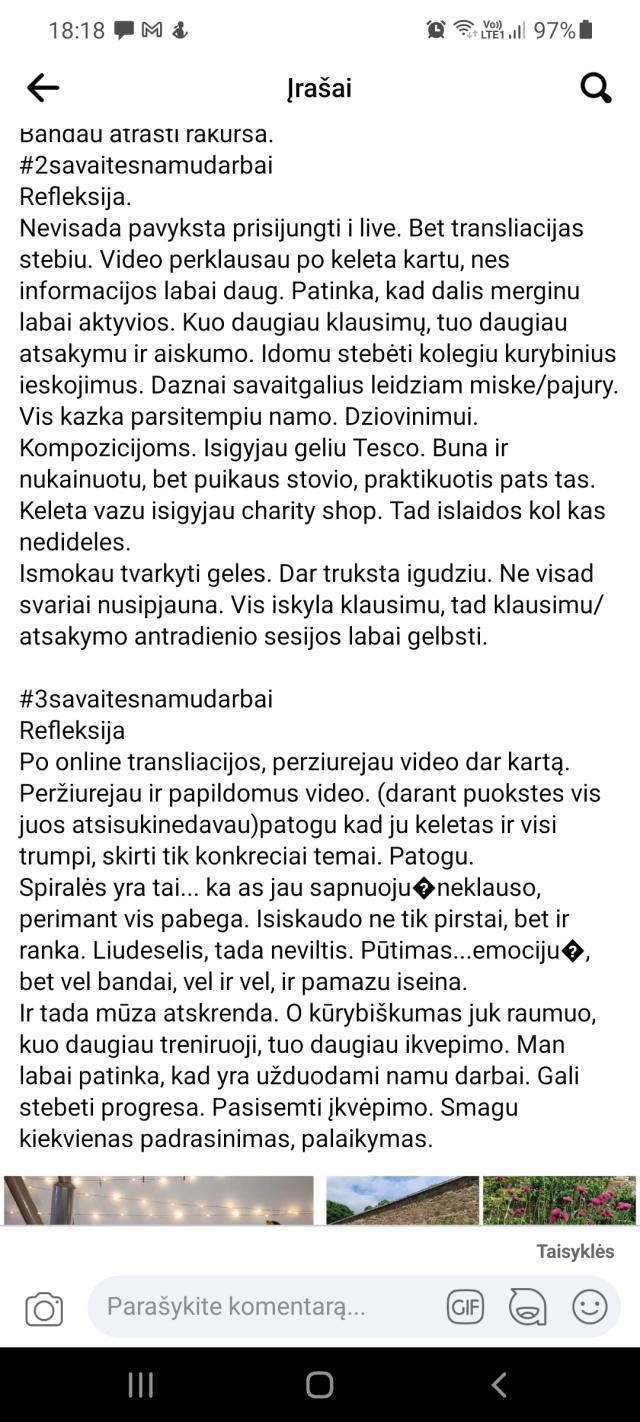 Pūkuotas Vėjas gėlių studija 