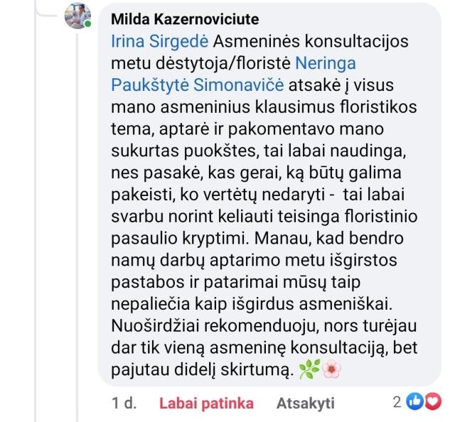 Pūkuotas Vėjas gėlių studija 