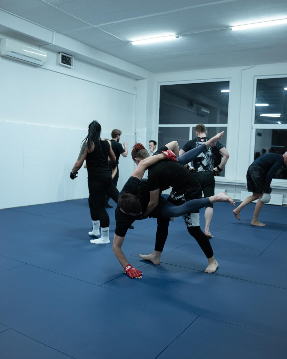 Domitor Jiu-Jitsu Vilnius 