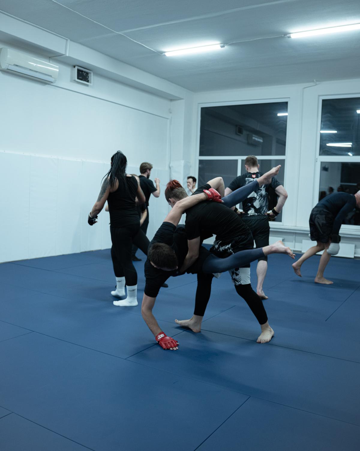 Domitor Jiu-Jitsu Vilnius 