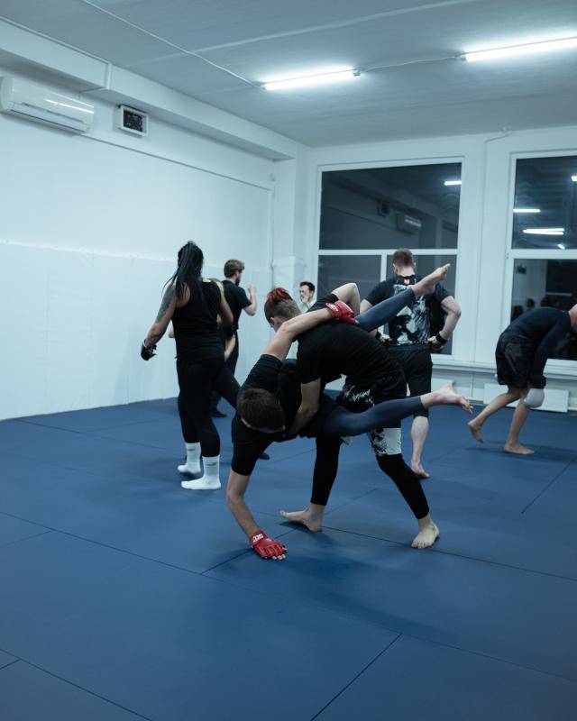 Domitor Jiu-Jitsu Vilnius 