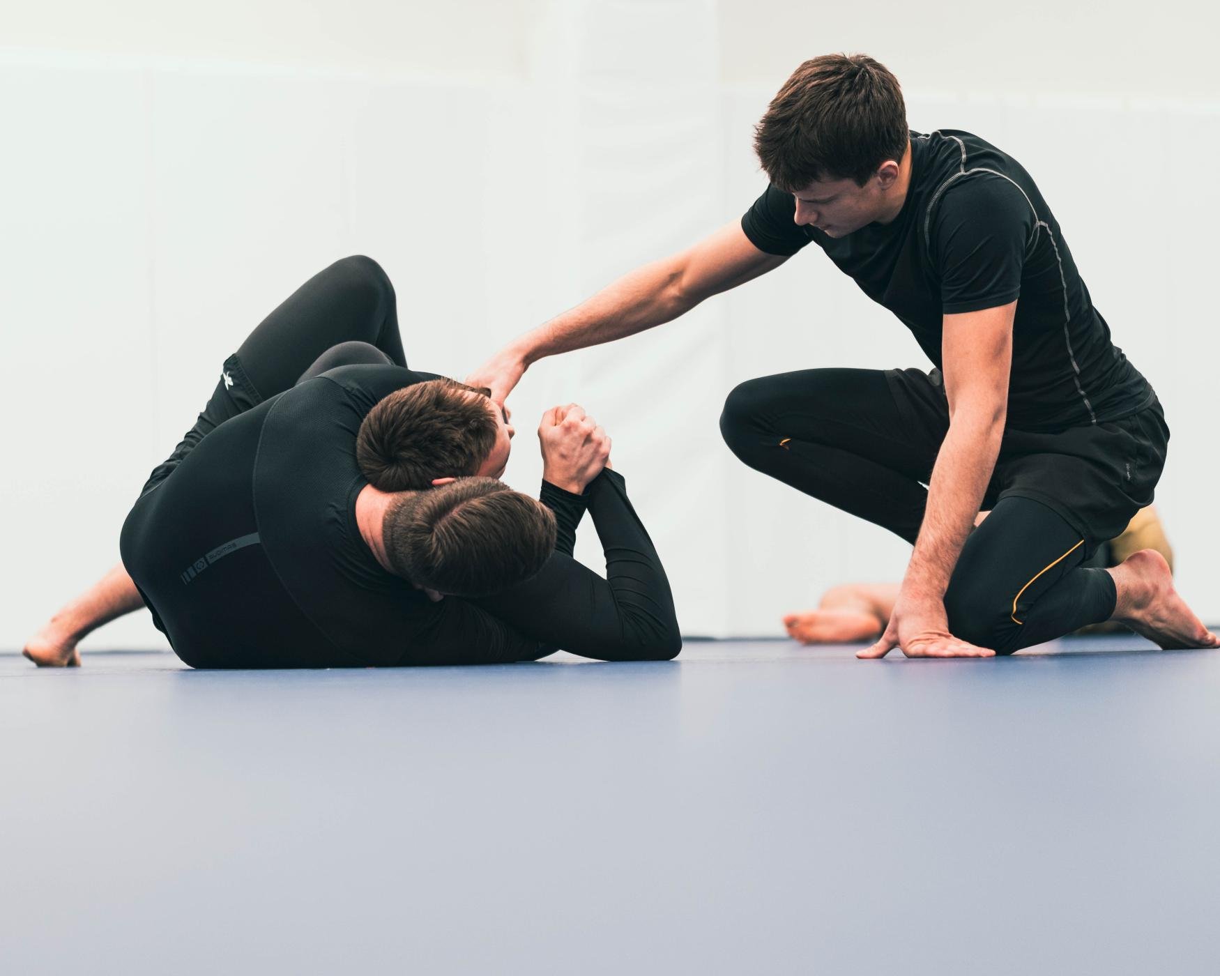 Domitor Jiu-Jitsu Vilnius 