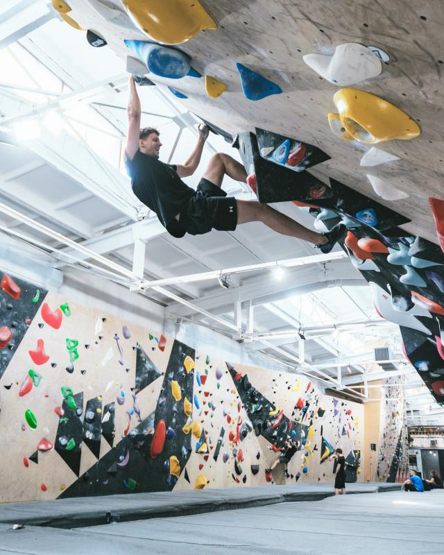 BONOBO climbing