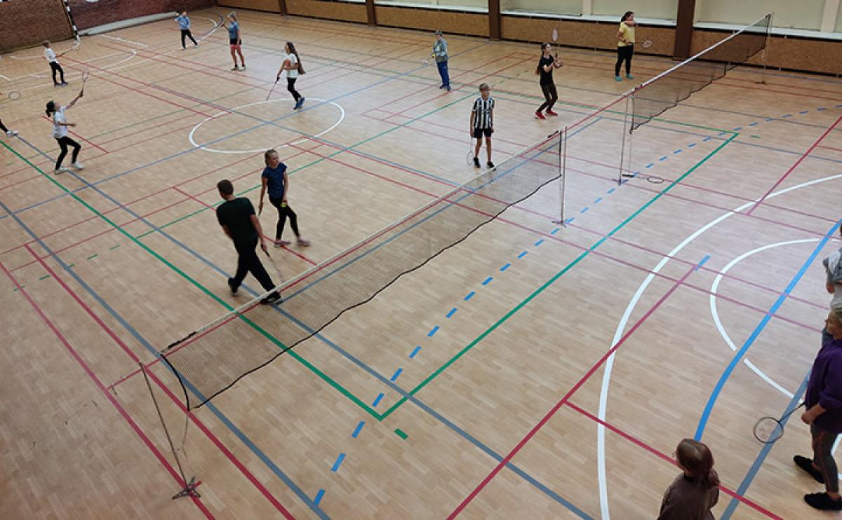 Badminton Virus