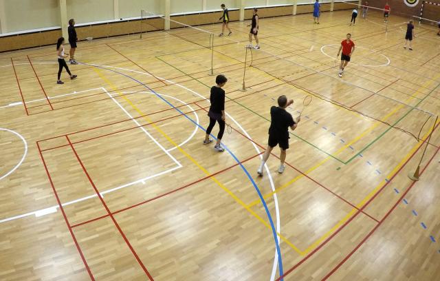 Badminton Virus