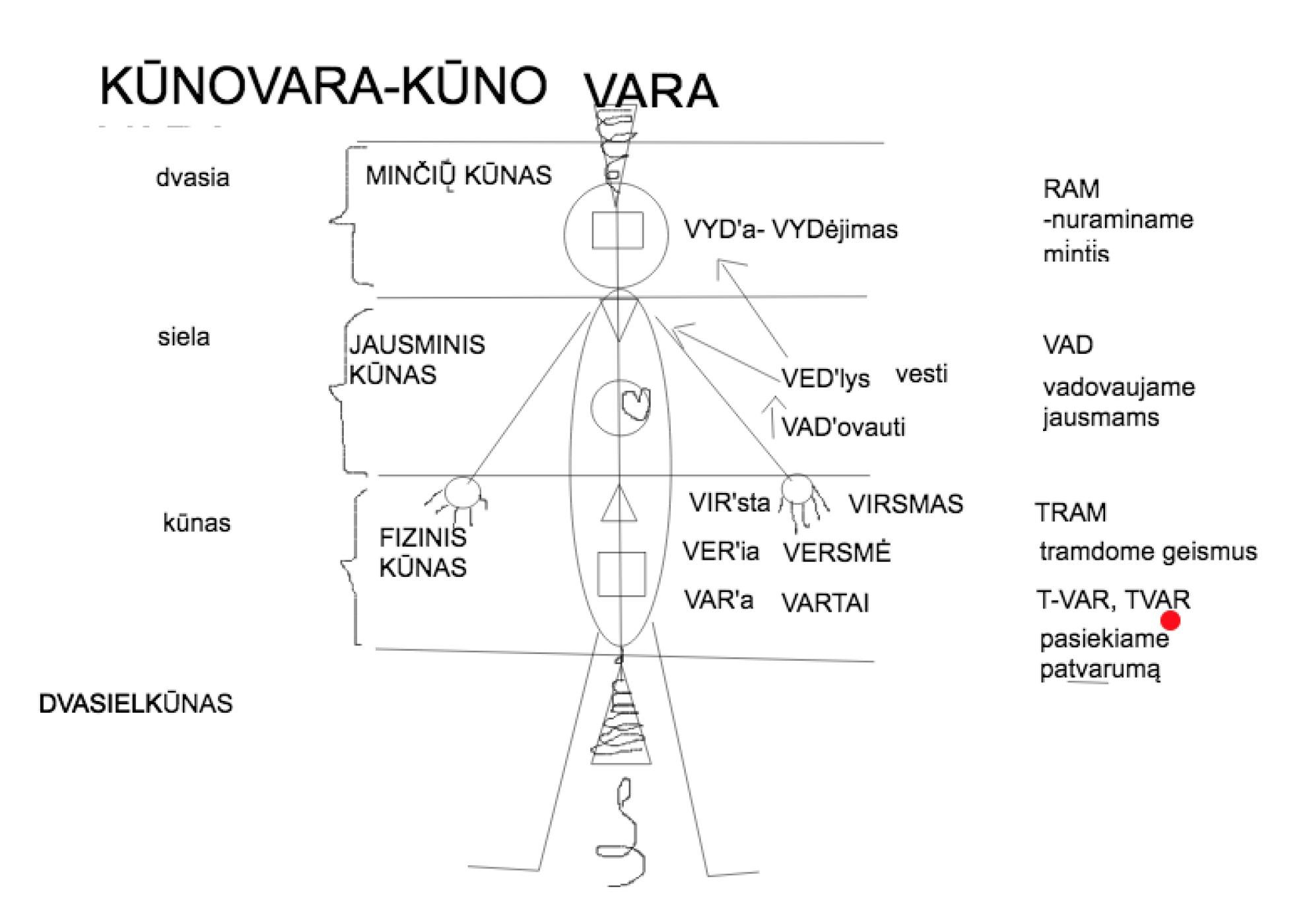 KŪNOVARA