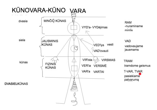 KŪNOVARA