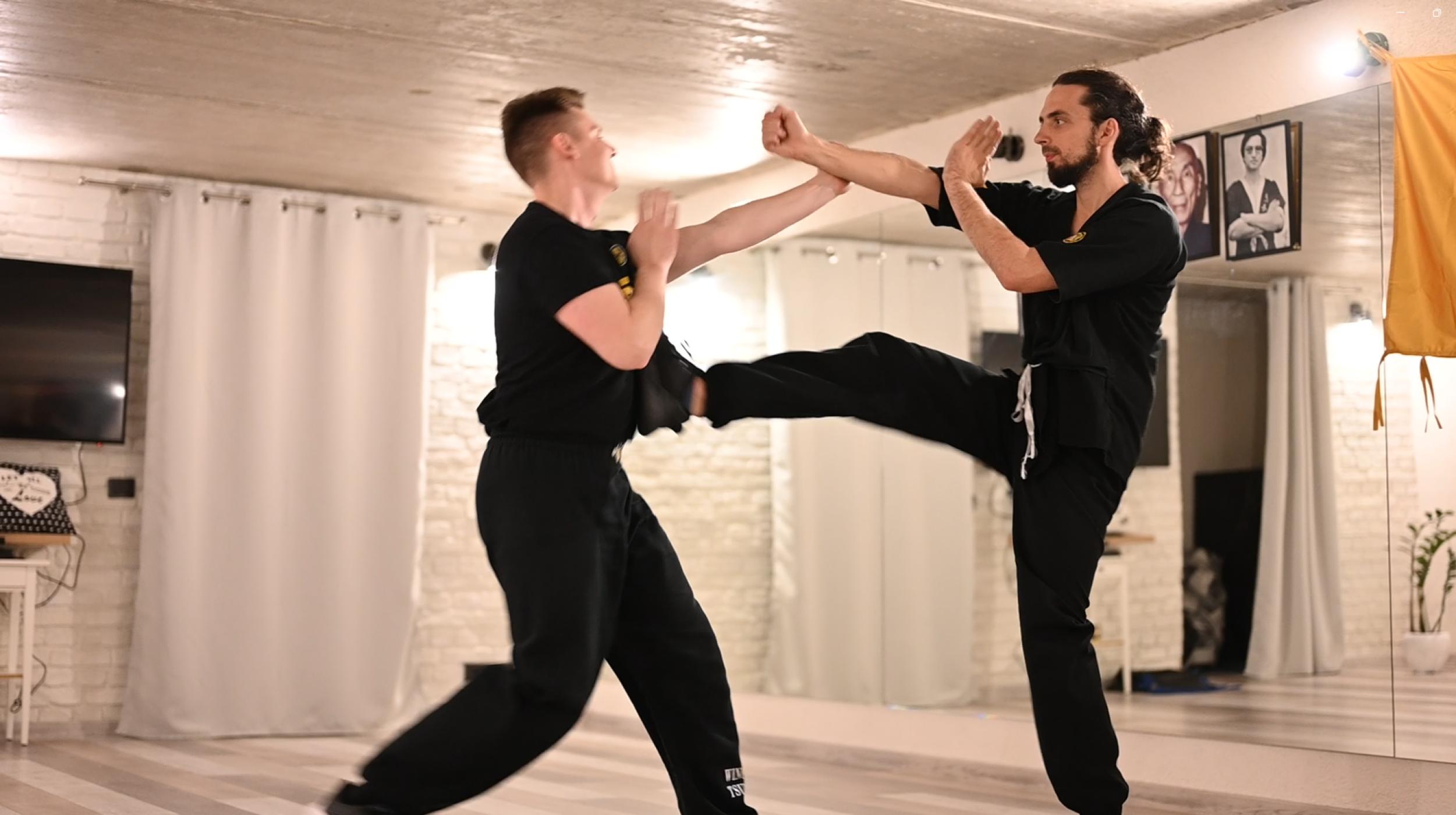 Wing Tsun Kung Fu 